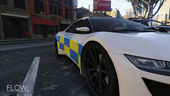UK British Police Jester